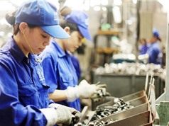 Phú Thọ: Hỗ trợ nâng cao năng suất, chất lượng sản phẩm hàng hóa trên địa bàn Tỉnh năm 202